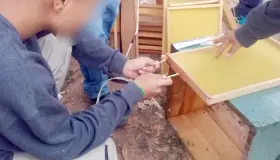 Continúan actividades ocupacionales