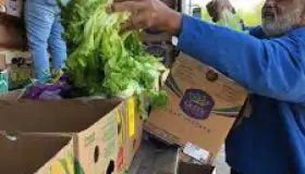 Apoyan a la comunidad con alimento