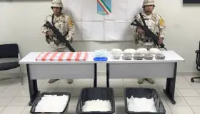 Asegura Ejército drogas peligrosas