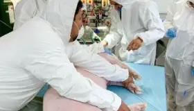 Prueban a MARA con éxito en un ser vivo