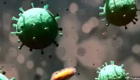 Se recuperan 21 casos positivos en el Condado