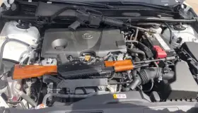 Decomisan casi 20 mil pastillas de fentanilo