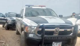 Roban paneles solares