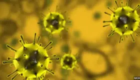 Supera Arizona las 540 muertes