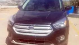 Recuperan PESP y SEDENA auto cargado de armas