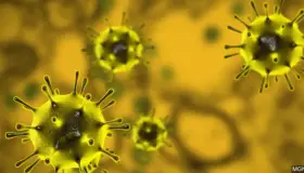 Suma Arizona 747 víctimas