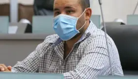 Piden que robo de abejas se tipifique como delito de abigeato