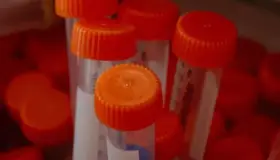 Aseguran cerca de mil pruebas falsas de Covid-19