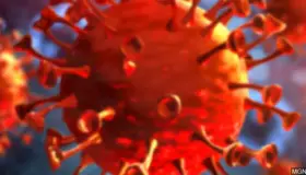 Mueren 40 por Covid-19 en un solo día en Arizona