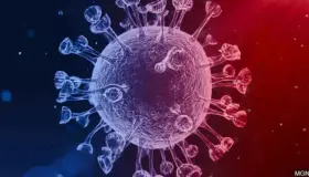 Registra Arizona 996 fallecimientos