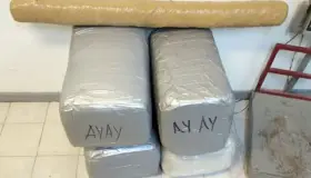 FGR investiga aseguramiento de marihuana