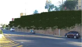 Presentan Ingenieros Proyecto Muro Verde