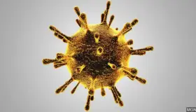 Amenaza Covid-19 con hacer más daño