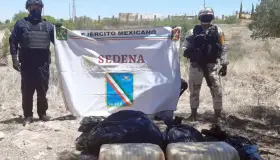 Aseguran 62 kilogramos de marihuana en Nogales