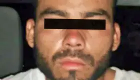 Primer vinculado al delito de “Halconeo”