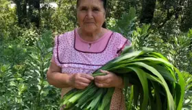 Doña Ángela, la cocinera humilde que rompe fronteras