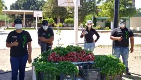 Donan estudiantes hortalizas