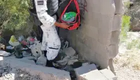 Decomisan cientos de dosis de droga