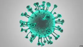 Supera Arizona los 63 mil contagios