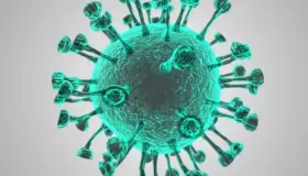 Dolor y muerte provoca Covid-19