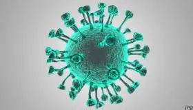 Encabeza Arizona pico de la pandemia