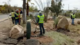 Buscan proteger el medio ambiente