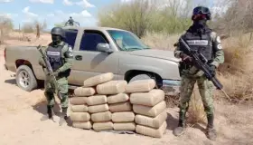 Aseguran cien kilos de marihuana en Pitiquito