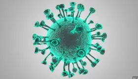 Avanza Coronavirus en Nogales