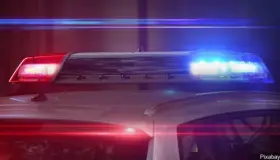 Dan marcha atrás a ordenamiento