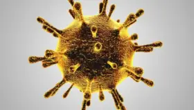 Suma Arizona dos mil 337 fallecimientos