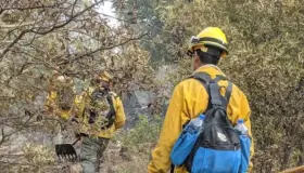 Apoyan bomberos en incendio de Imuris