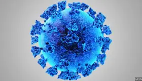 Cerca Arizona de dos mil 500 muertes