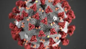 Trasladan a pacientes a Nuevo México