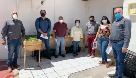 Participa Comisión en Sembrando Vida