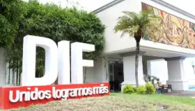 Protegen a adultos mayores