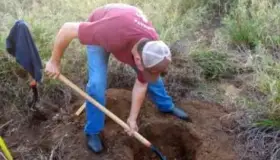 Se cumplen metas de conservación ambiental