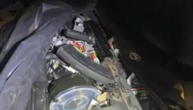 Decomisan 24 mil cartuchos en garita