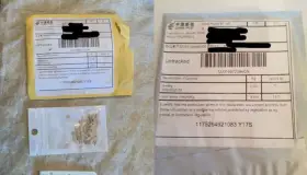 Identifican semillas enviadas de China