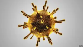 Supera Arizona las tres mil 800 muertes