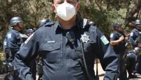 Reconoce la SSP reducción de robos