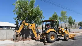 Mantienen reforestación citadina