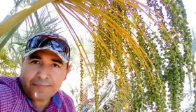 Es UES líder nacional en investigación