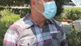 Continúa trasplante de árboles