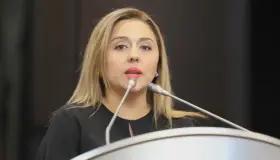 Urge apoyo a Pymes: Diputada Diana Platt