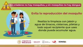 Llaman a eliminar criaderos de moscos