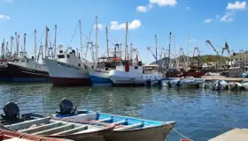 Anuncian cese de veda camaronera