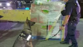 Decomisan 27 millones de dólares