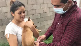 Realizan campaña de vacunación