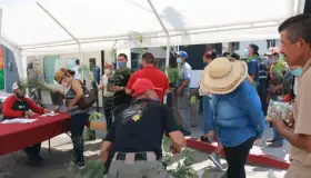 Donan más de mil árboles de sombra