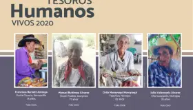 Anuncian resultados de “Tesoro Humanos”